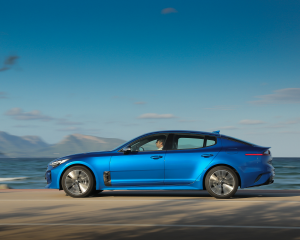 Kia Stinger blue dynamic  (40)